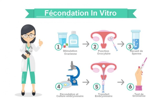 In vitro fertilisation (IVF) failures 